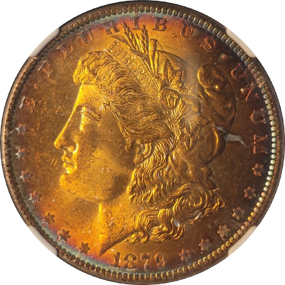 1879-$1-Morgan-Silver-Dollar-Obverse-Toned